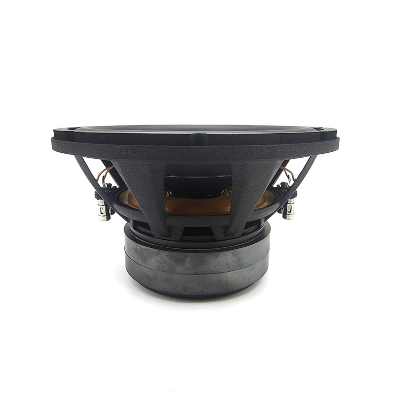 Hurtownia fabryczna, wysokiej  – Car Audio Subwoofer 10 Inch Dvc recenzja i cena